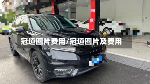 冠道图片费用/冠道图片及费用