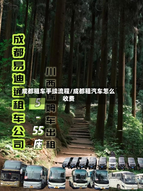成都租车手续流程/成都租汽车怎么收费-第2张图片