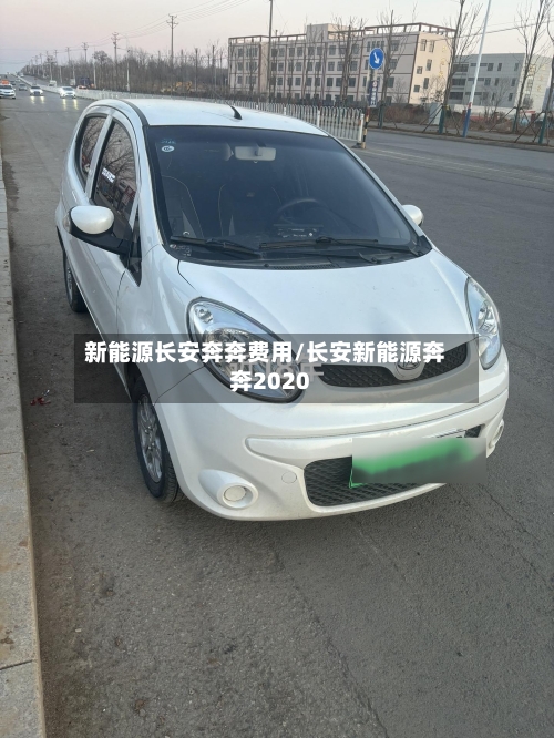 新能源长安奔奔费用/长安新能源奔奔2020