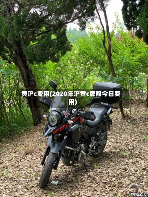 黄沪c费用(2020年沪黄c牌照今日费用)