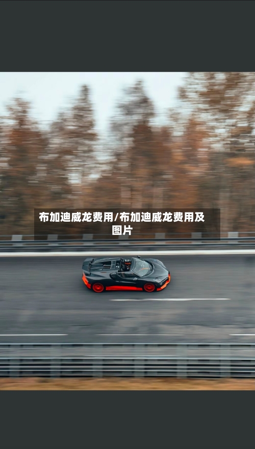 布加迪威龙费用/布加迪威龙费用及图片-第2张图片