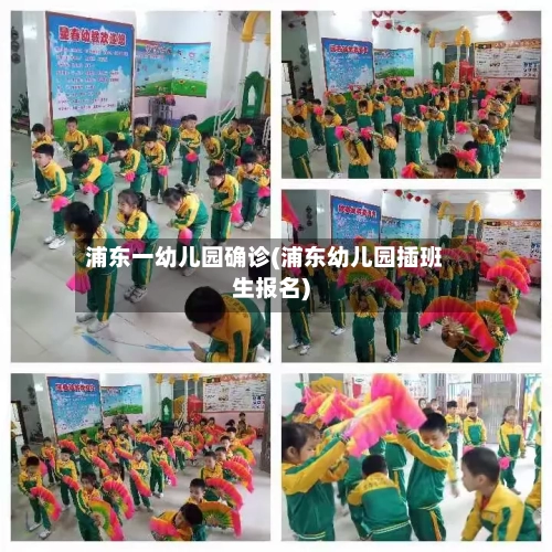 浦东一幼儿园确诊(浦东幼儿园插班生报名)