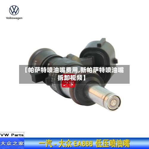 【帕萨特喷油嘴费用,新帕萨特喷油嘴拆卸视频】