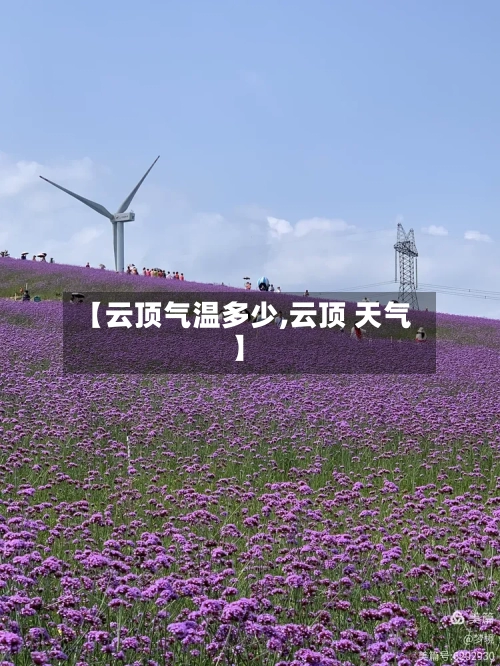 【云顶气温多少,云顶 天气】