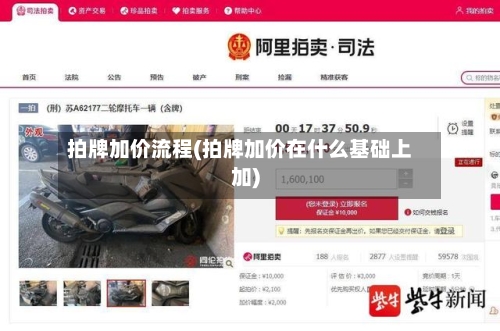 拍牌加价流程(拍牌加价在什么基础上加)
