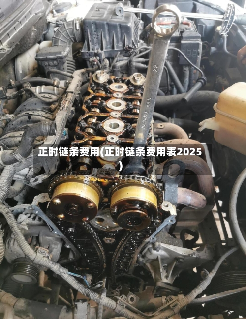 正时链条费用(正时链条费用表2025)