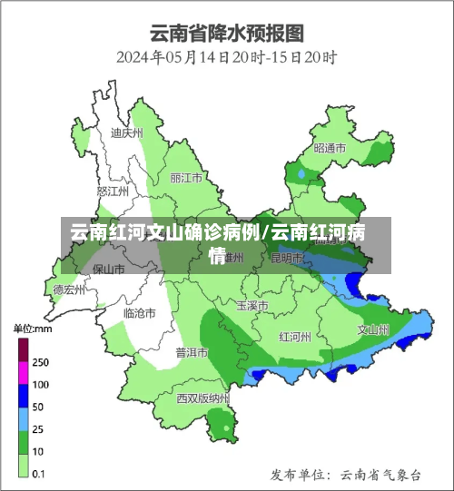 云南红河文山确诊病例/云南红河病情