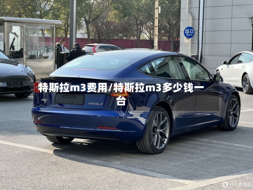 特斯拉m3费用/特斯拉m3多少钱一台-第2张图片