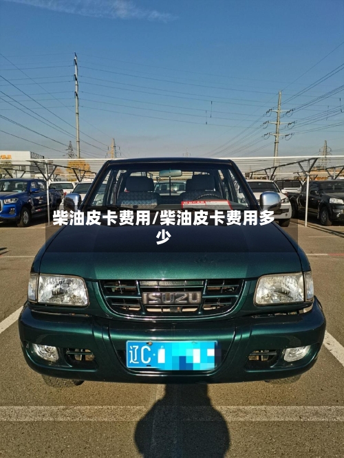 柴油皮卡费用/柴油皮卡费用多少