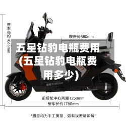 五星钻豹电瓶费用(五星钻豹电瓶费用多少)