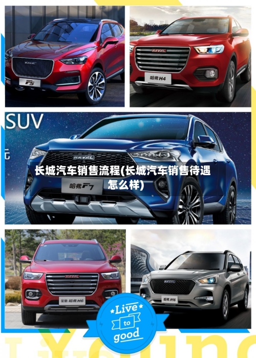 长城汽车销售流程(长城汽车销售待遇怎么样)