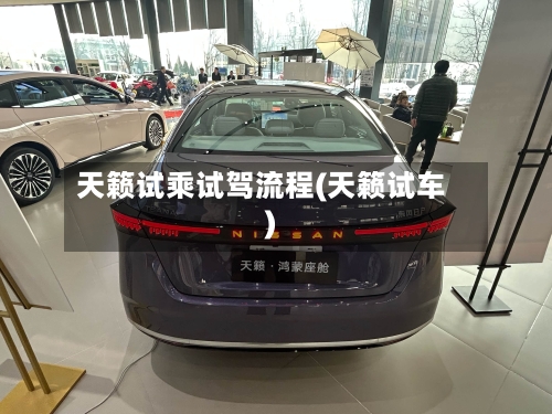 天籁试乘试驾流程(天籁试车)