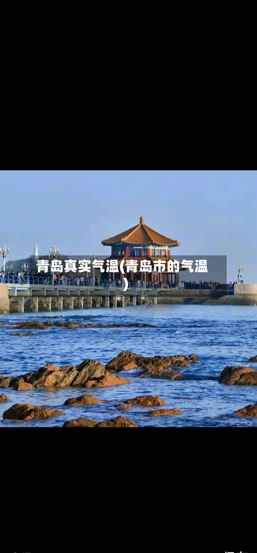 青岛真实气温(青岛市的气温)