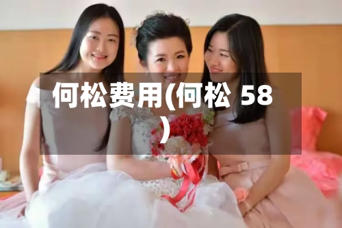 何松费用(何松 58)-第2张图片