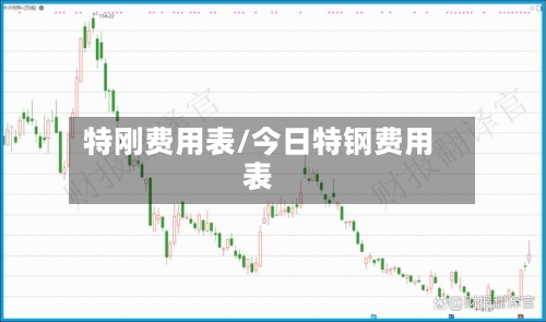 特刚费用表/今日特钢费用表-第2张图片