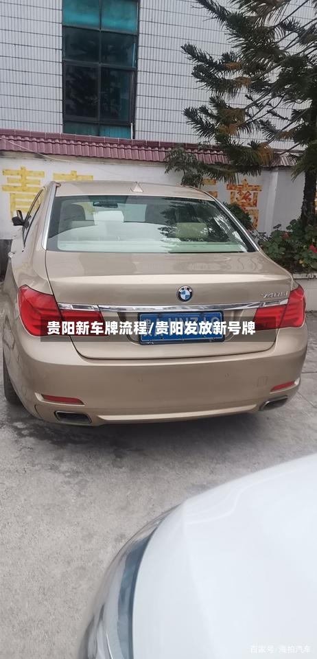 贵阳新车牌流程/贵阳发放新号牌-第3张图片