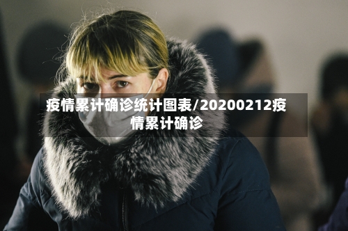 疫情累计确诊统计图表/20200212疫情累计确诊-第3张图片