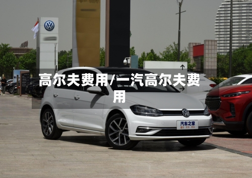 高尔夫费用/一汽高尔夫费用-第2张图片
