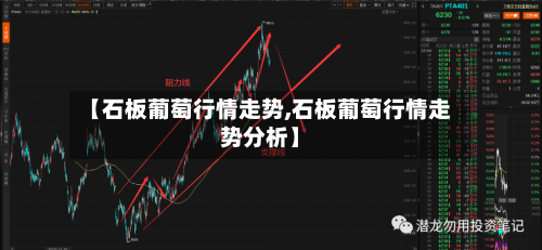 【石板葡萄行情走势,石板葡萄行情走势分析】-第3张图片