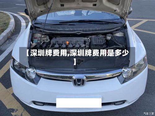 【深圳牌费用,深圳牌费用是多少】-第2张图片