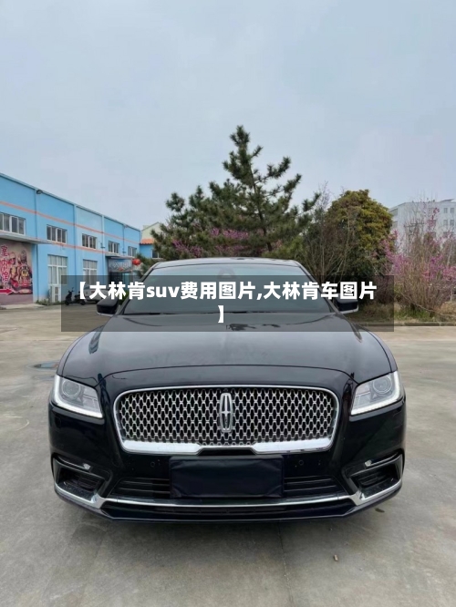 【大林肯suv费用图片,大林肯车图片】