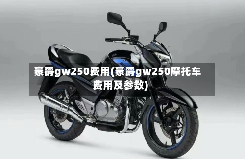 豪爵gw250费用(豪爵gw250摩托车费用及参数)