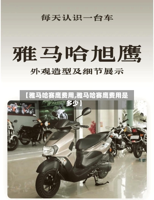 【雅马哈赛鹰费用,雅马哈赛鹰费用是多少】