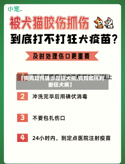 【狗狗如何确诊是狂犬病,狗狗如何判断狂犬病】-第2张图片