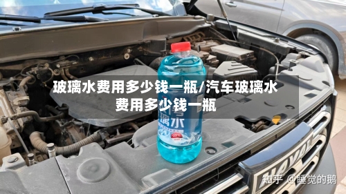 玻璃水费用多少钱一瓶/汽车玻璃水费用多少钱一瓶-第3张图片