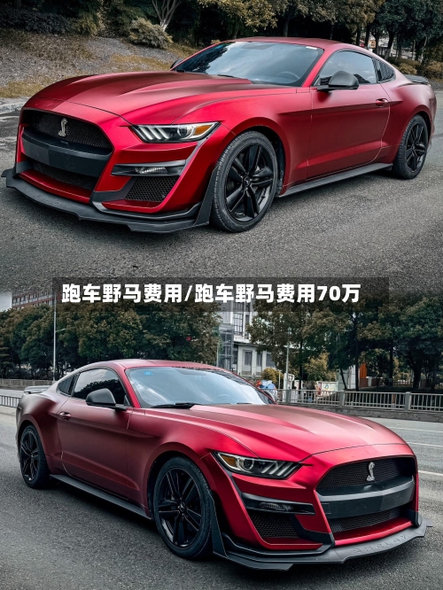 跑车野马费用/跑车野马费用70万