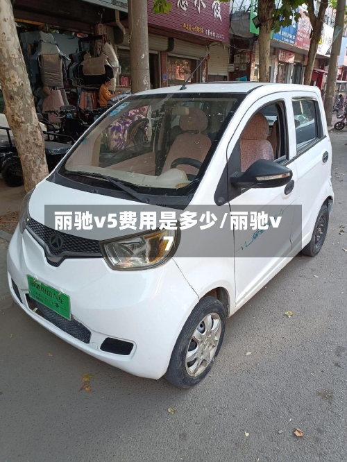 丽驰v5费用是多少/丽驰v7