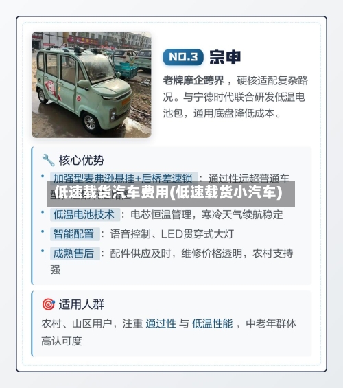 低速载货汽车费用(低速载货小汽车)