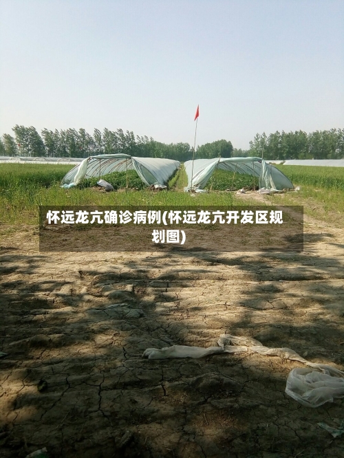 怀远龙亢确诊病例(怀远龙亢开发区规划图)
