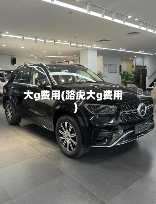 大g费用(路虎大g费用)