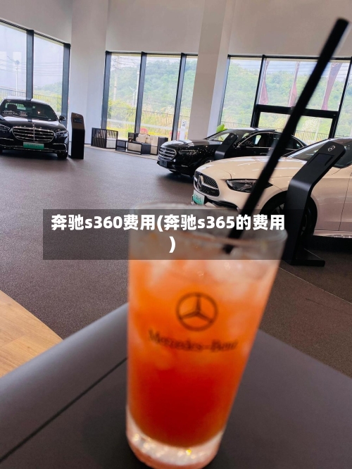 奔驰s360费用(奔驰s365的费用)