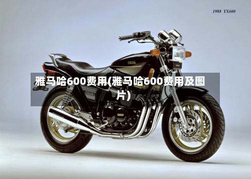 雅马哈600费用(雅马哈600费用及图片)