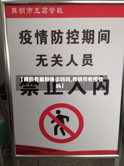 【舞钢有最新确诊吗吗,舞钢市有疫情吗】-第3张图片