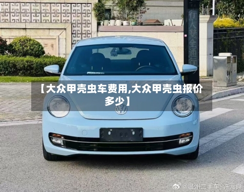 【大众甲壳虫车费用,大众甲壳虫报价多少】