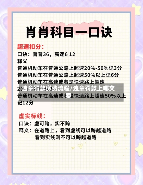 违章罚款缴费流程/违章罚款上哪交费-第3张图片