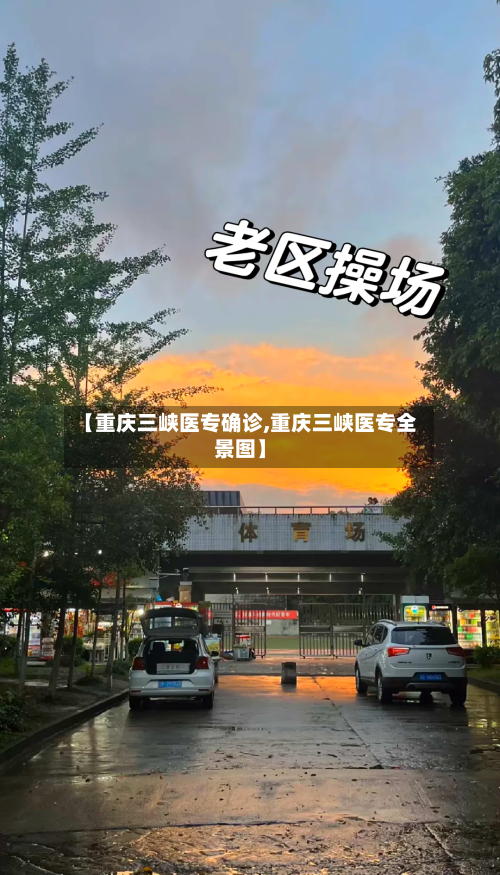 【重庆三峡医专确诊,重庆三峡医专全景图】-第2张图片