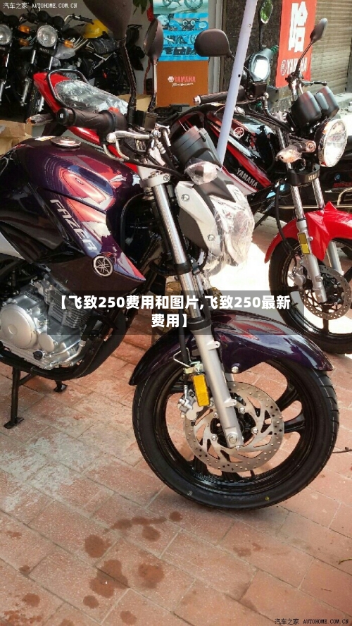 【飞致250费用和图片,飞致250最新费用】