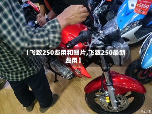 【飞致250费用和图片,飞致250最新费用】-第2张图片