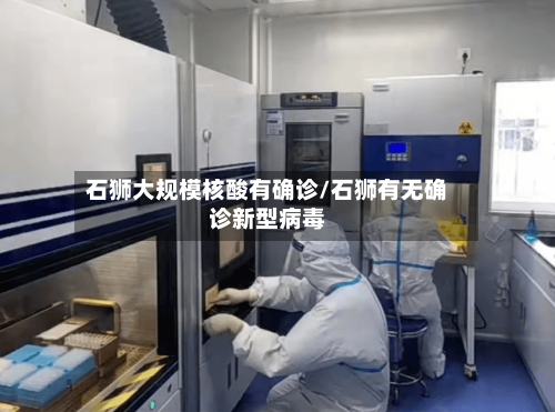 石狮大规模核酸有确诊/石狮有无确诊新型病毒