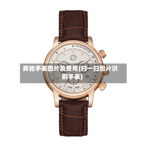 奔驰手表图片及费用(扫一扫图片识别手表)