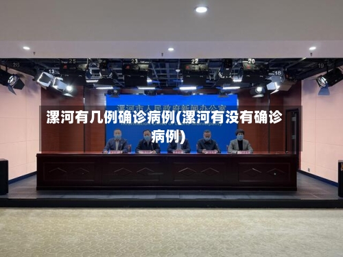 漯河有几例确诊病例(漯河有没有确诊病例)-第2张图片