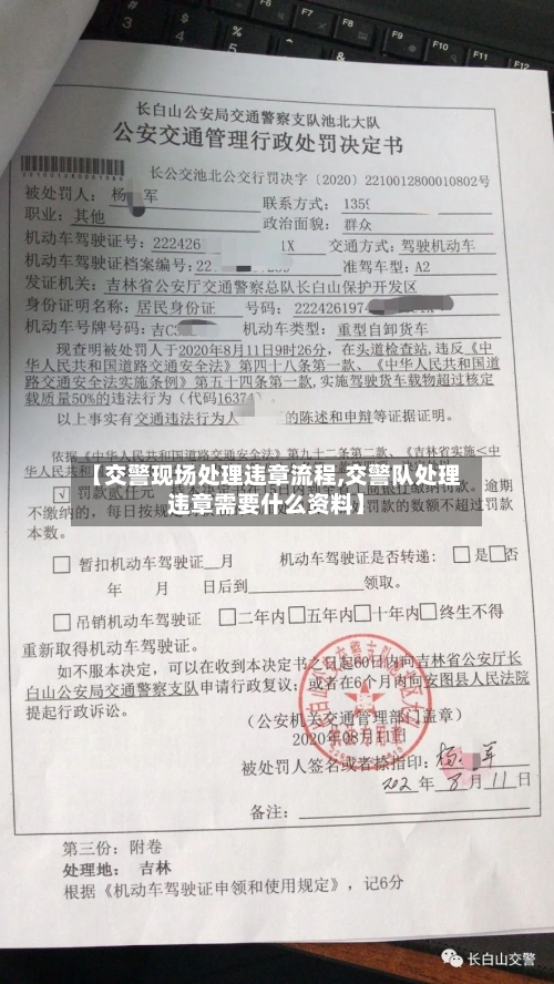【交警现场处理违章流程,交警队处理违章需要什么资料】