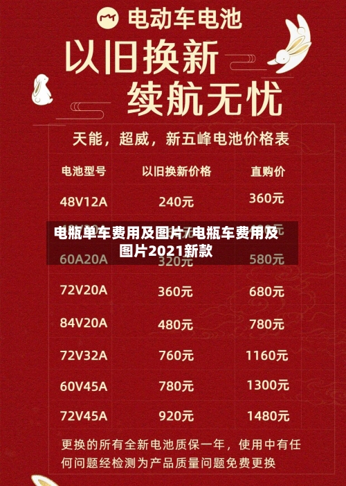 电瓶单车费用及图片/电瓶车费用及图片2021新款-第2张图片