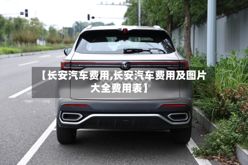 【长安汽车费用,长安汽车费用及图片大全费用表】-第3张图片