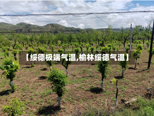 【绥德极端气温,榆林绥德气温】