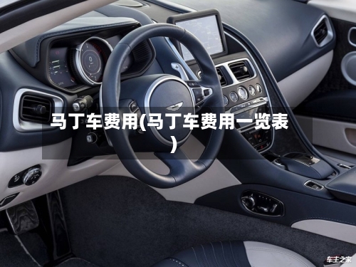 马丁车费用(马丁车费用一览表)-第3张图片